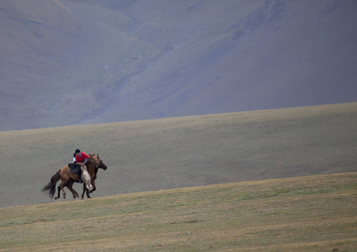 Horsemen Pulling On A Goat Carcass During A Horse Game, Saralasaz Jailoo, Kyrgyzstan