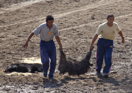 Men Carrying A Goat Carcass Withouth Head For The Horse Game On National Day, Bishkek, Kyrgyzstan