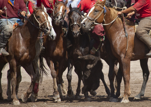 Men Competing In A Horse Game For National Day, Bishkek, Kyrgyzstan