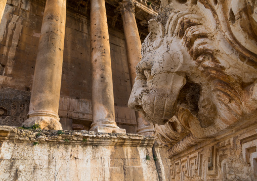 Lion sculpture in front of the temple of Bacchus in the archaeological site, Beqaa Governorate, Baalbek, Lebanon