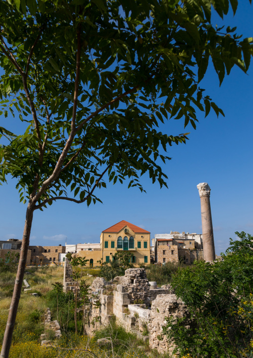 Old house with columns ruins, South Governorate, Tyre, Lebanon