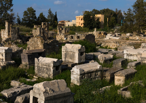 Necropolis of el Bass archaeological site, South Governorate, Tyre, Lebanon