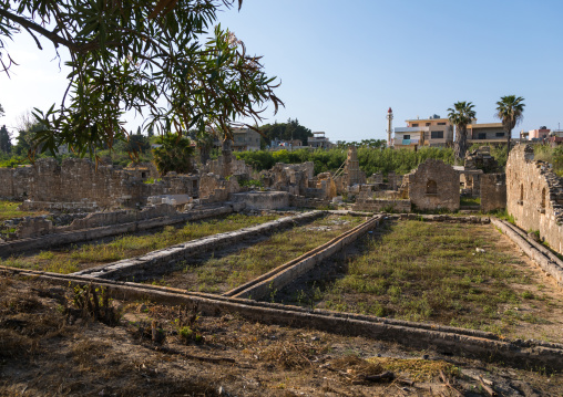 Necropolis of el Bass archaeological site, South Governorate, Tyre, Lebanon