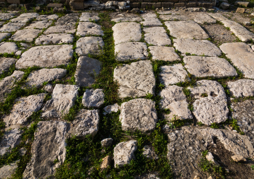 Old roman road in al Bass site, South Governorate, Tyre, Lebanon