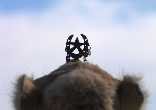 Camel head with decoration, Tripolitania, Ghadames, Libya