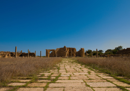 Hadrianic bath-house remains in leptis magna, Tripolitania, Khoms, Libya