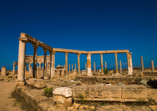 Market place in leptis magna, Tripolitania, Khoms, Libya