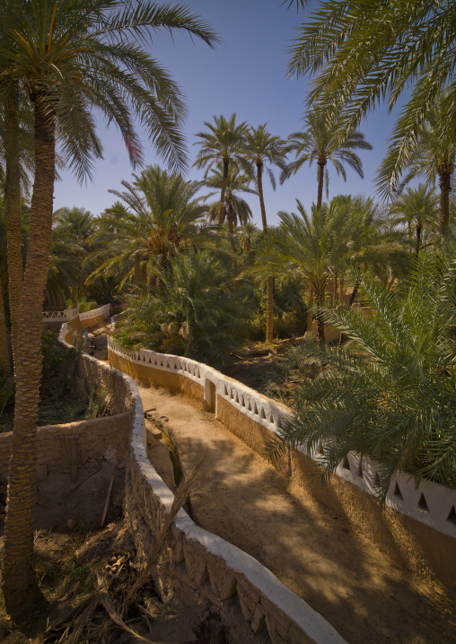 The old town in the oasis, Tripolitania, Ghadames, Libya