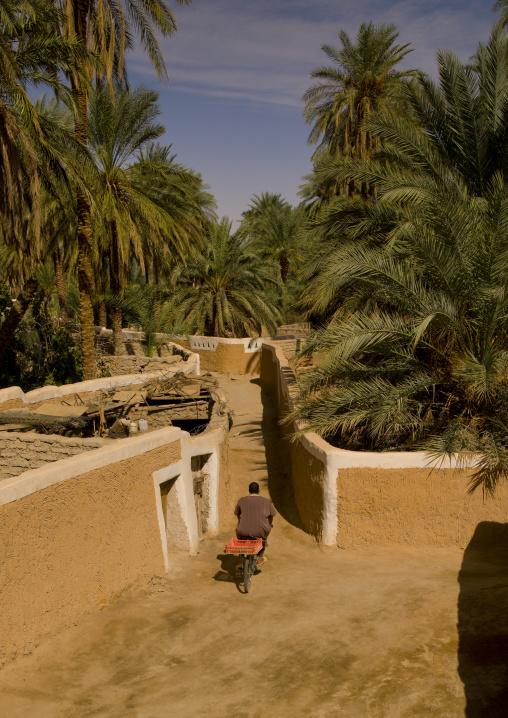 The old town in the oasis, Tripolitania, Ghadames, Libya