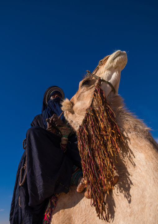 Tuareg man riding his camel, Tripolitania, Ghadames, Libya