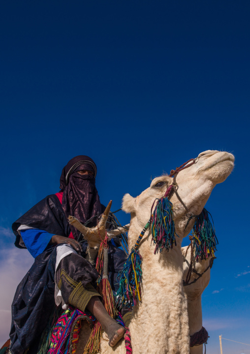 Tuareg man riding his camel, Tripolitania, Ghadames, Libya