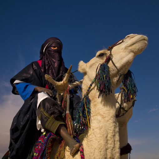 Tuareg man riding his camel, Tripolitania, Ghadames, Libya