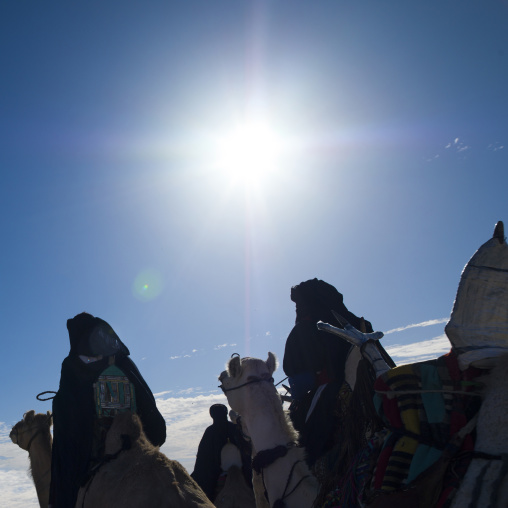 Tuareg men riding camels, Tripolitania, Ghadames, Libya