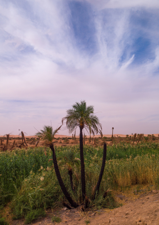 The ancient city, Fezzan, Germa, Libya