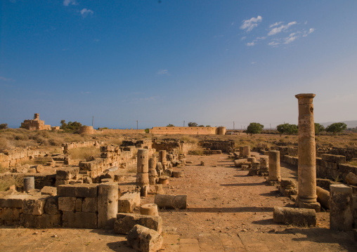 Roman ruins, Cyrenaica, Tocra, Libya