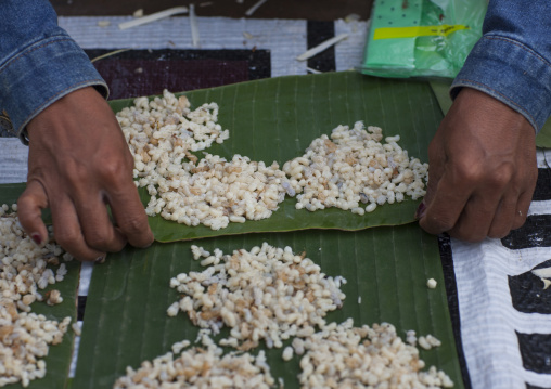 Ants eggs, Pakse, Laos