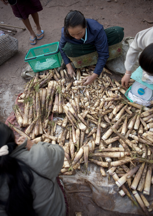 Woman selling vegetables, Muang sing, Laos