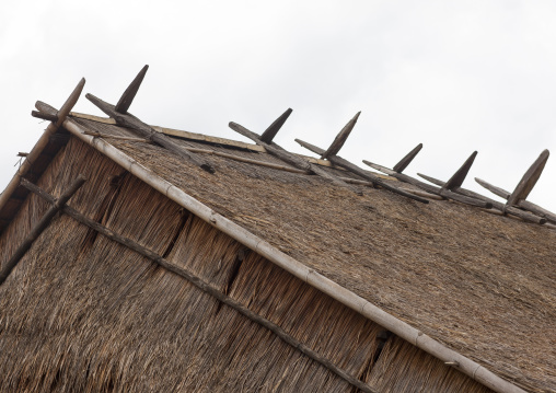 Hmong minority house roof, Luang prabang, Laos