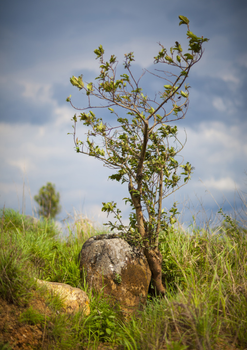 Plain of jars on xieng khuang plateau, Phonsavan, Laos