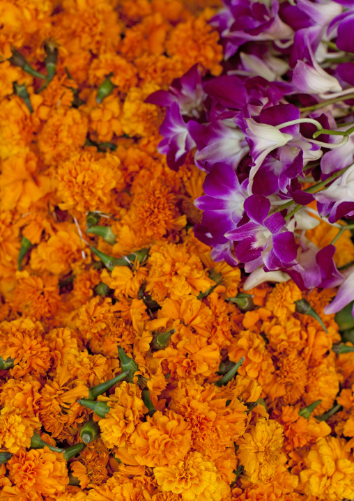 Wreaths of flowers in temple, Vientiane, Laos