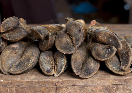 Buffalos feet, Thakhek, Laos