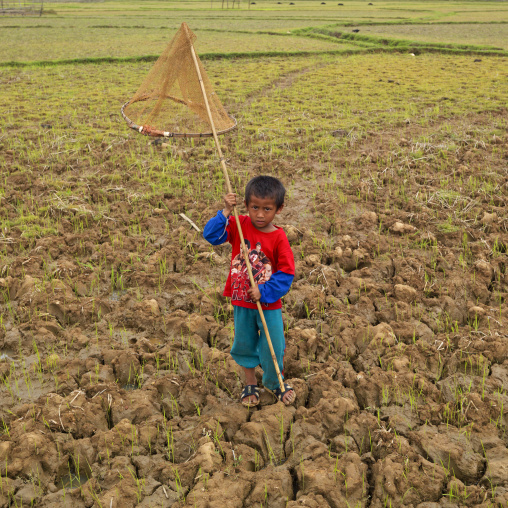 Butterfly hunter, Phonsavan, Laos