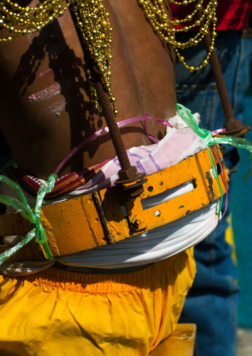 Hindu Devotee In Thaipusam Religious Festival In Batu Caves With His Back Pierced With Hooks And Chains, Southeast Asia, Kuala Lumpur, Malaysia