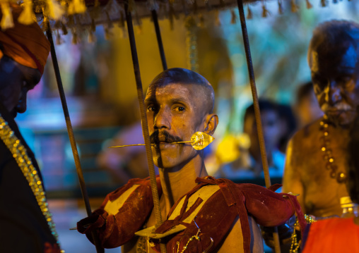 Devotee Kavadi Bearer With Tongue Piercing At Thaipusam Hindu Religious Festival In Batu Caves, Southeast Asia, Kuala Lumpur, Malaysia