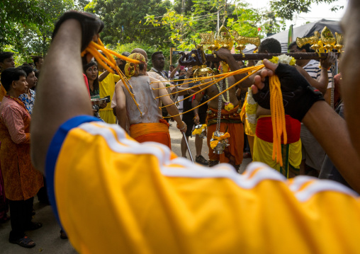 A Devotee Has His Back Pierced With Hooks During The Thaipusam Hindu Festival At Batu Caves, Southeast Asia, Kuala Lumpur, Malaysia