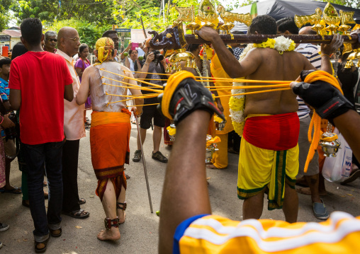 A Devotee Has His Back Pierced With Hooks During The Thaipusam Hindu Festival At Batu Caves, Southeast Asia, Kuala Lumpur, Malaysia