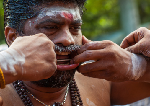 A Devotee Cheek Is Pierced With A Big Skewer By A Priest At Thaipusam Hindu Festival At Batu Caves, Southeast Asia, Kuala Lumpur, Malaysia