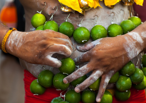 A Pierced Devotee Laden With Lemons On His Belly During The Thaipusam Hindu Festival At Batu Caves, Southeast Asia, Kuala Lumpur, Malaysia