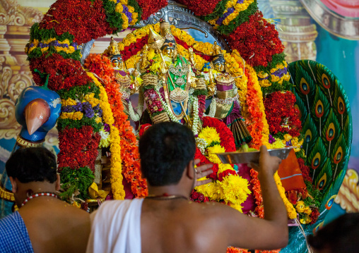 Hindu Devotee In A Temple Making Offerings During The Annual Thaipusam Religious Festival In Batu Caves, Southeast Asia, Kuala Lumpur, Malaysia