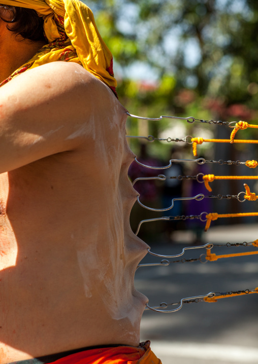 A Devotee Has His Back Pierced With Hooks During The Thaipusam Hindu Festival At Batu Caves, Southeast Asia, Kuala Lumpur, Malaysia