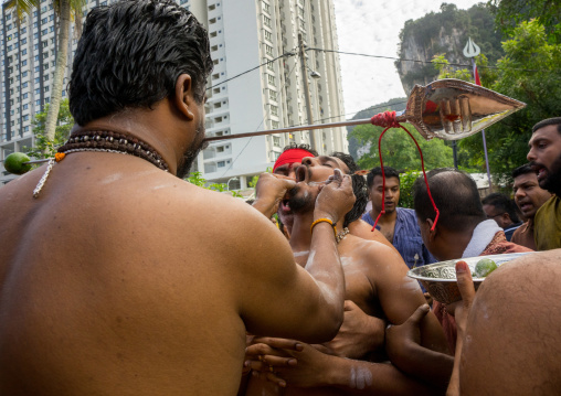 A Devotee Cheek Is Pierced With A Skewer By A Priest At Thaipusam Hindu Festival At Batu Caves, Southeast Asia, Kuala Lumpur, Malaysia