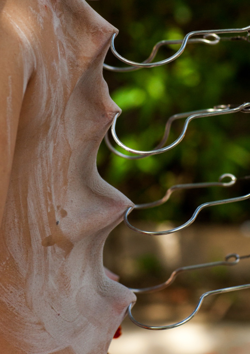 A Devotee Has His Back Pierced With Hooks During The Thaipusam Hindu Festival At Batu Caves, Southeast Asia, Kuala Lumpur, Malaysia