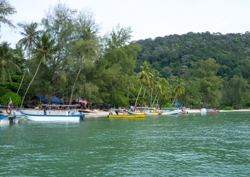 Monkey Beach In Nan National Park, Penang Island, George Town, Malaysia