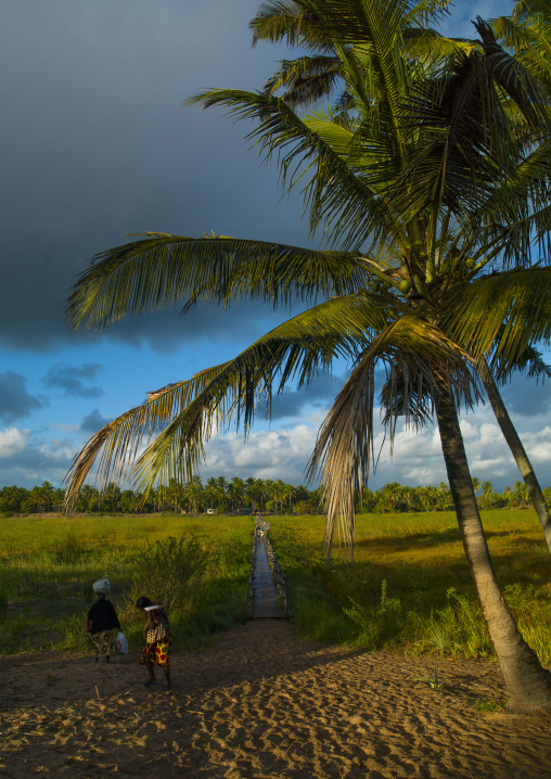 Landscape In The Country, Inhambane, Inhambane Province, Mozambique