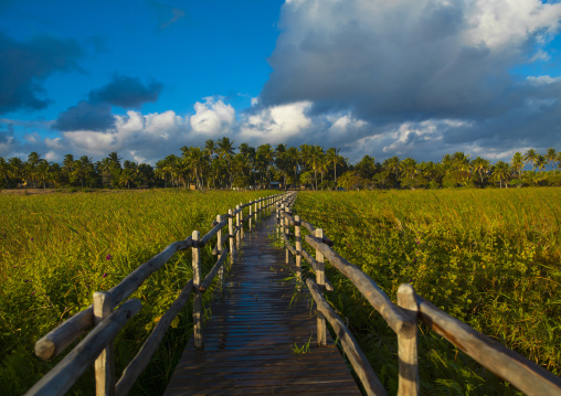 Wooden Bridge In The Country, Inhambane, Inhambane Province, Mozambique