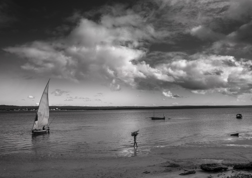 Dhow In The Bay, Inhambane, Inhambane Province, Mozambique