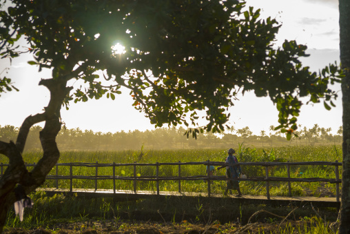 Wooden Bridge In The Country, Inhambane, Inhambane Province, Mozambique