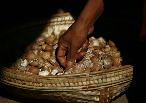 Betel Nuts, Bagan, Myanmar