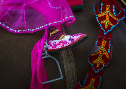 Child During A Novitiation Parade, Bagan,  Myanmar