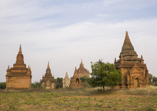 Bagan Plain Dotted With Thousands Of Temple Ruins, Bagan, Myanmar