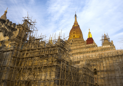 Bamboo Scaffolding In Ananda Paya, Bagan, Myanmar