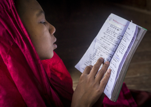 Young Novice Reading A Book, Mrauk U, Myanmar