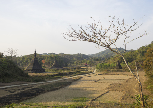 Buddhist Temple, Mrauk U, Myanmar