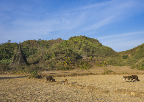 Buddhist Stupa, Mrauk U, Myanmar