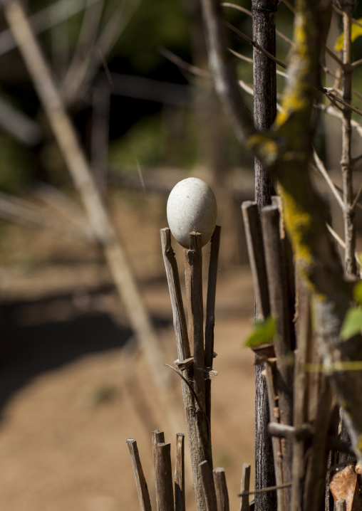 Egg Put By A Shaman To Bring Luck, Mindat, Myanmar