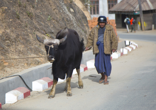 Man With A Gaur In The Street, Mindat, Myanmar